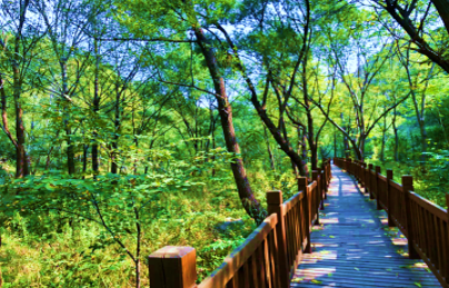 【奔跑吧彩虹】水长城彩虹跑1日休闲团建