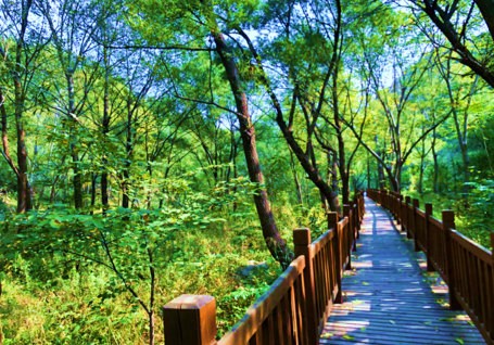 【峡谷穿越】黄花城水长城~京北大峡谷1日员工团建