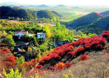 【行走的力量】舞彩浅山18公里徒步