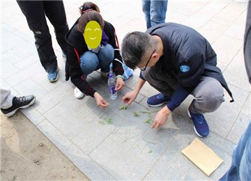 【拍卖大会】圆明园半日趣味景区定向团建