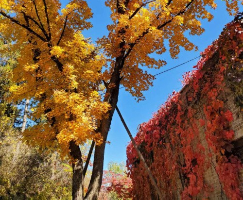 【公司旅游】网红打卡地--古北水镇1日游