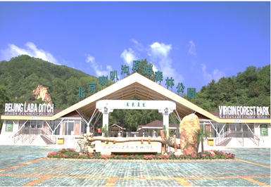【团队预定】白桦林宾馆-喇叭沟门-会议-团建