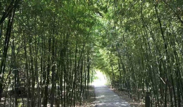 【团队预定】虎峪园林山庄-会议-年会-团建