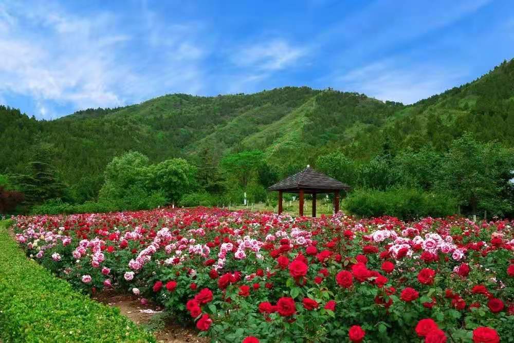 【团队预定】年会酒店-北京中国石化会议中心-会议-年会-团建