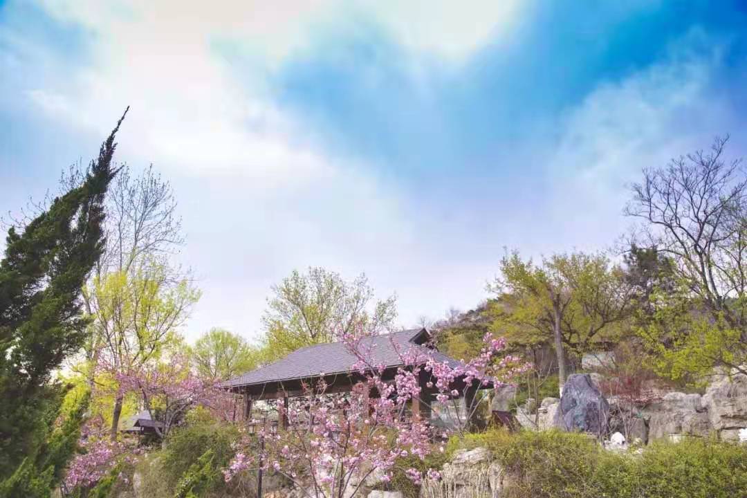 【团队预定】北京金隅凤山温泉度假村-会议-年会-团建