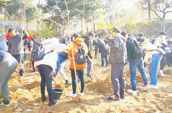 【2025植树】青龙峡景区+植树+踏青郊游1日主题活动