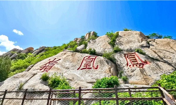 春游团建NO.8-踏青赏花-北京凤凰岭-手机互联网-最强战队1日主题团建