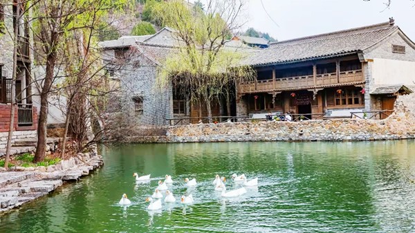 春游团建NO.2-踏青赏花-古北水镇-探秘寻宝-北京团建-公司团建-北京周边团建-京郊团建