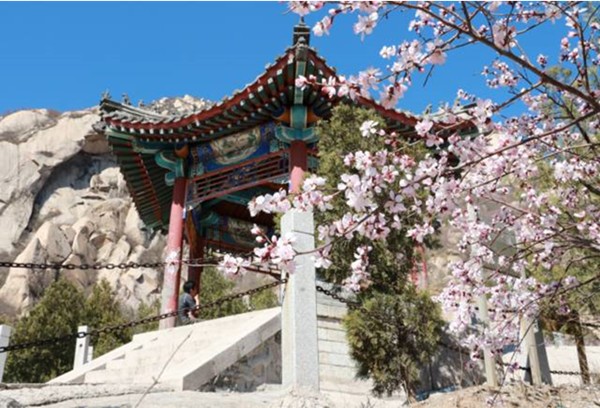 春游团建NO.8-踏青赏花-北京凤凰岭-手机互联网-最强战队1日主题团建