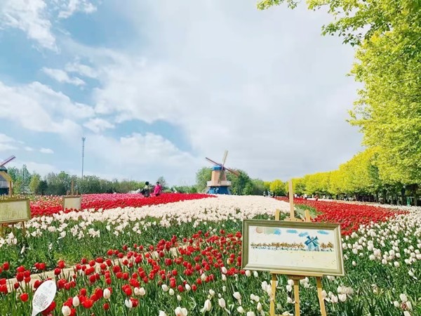 春游团建必选-踏青赏花-北京鲜花港-探索之旅-1日凝聚力主题团建