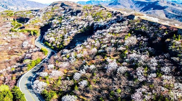 春游团建NO.11-踏青爬山-云蒙山-北方小黄山-郊游团建-凝聚力主题1日团建