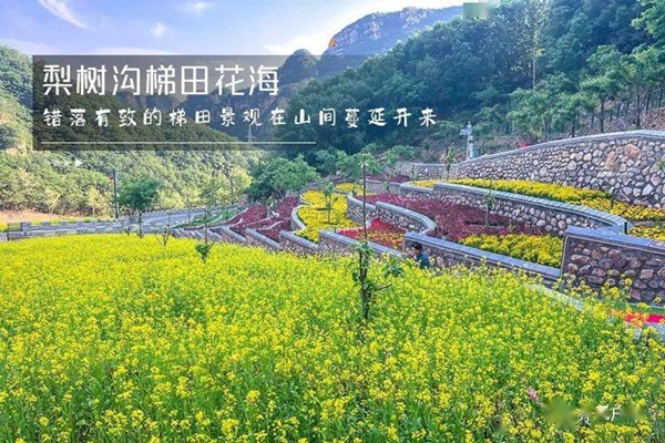 #热门团建+#梨树沟休闲小镇+#网红山地滑车+#石林峡360°观景平台+#七彩池+#最受欢迎的团建之一
