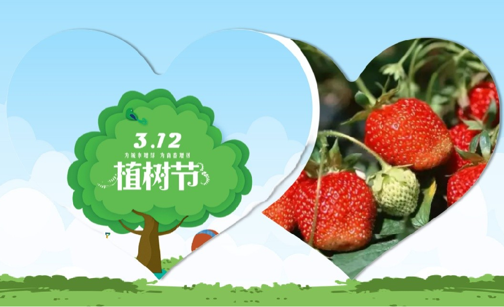 【2025植树】怀柔+植树+午餐+草莓采摘+大巴-1日主题活动