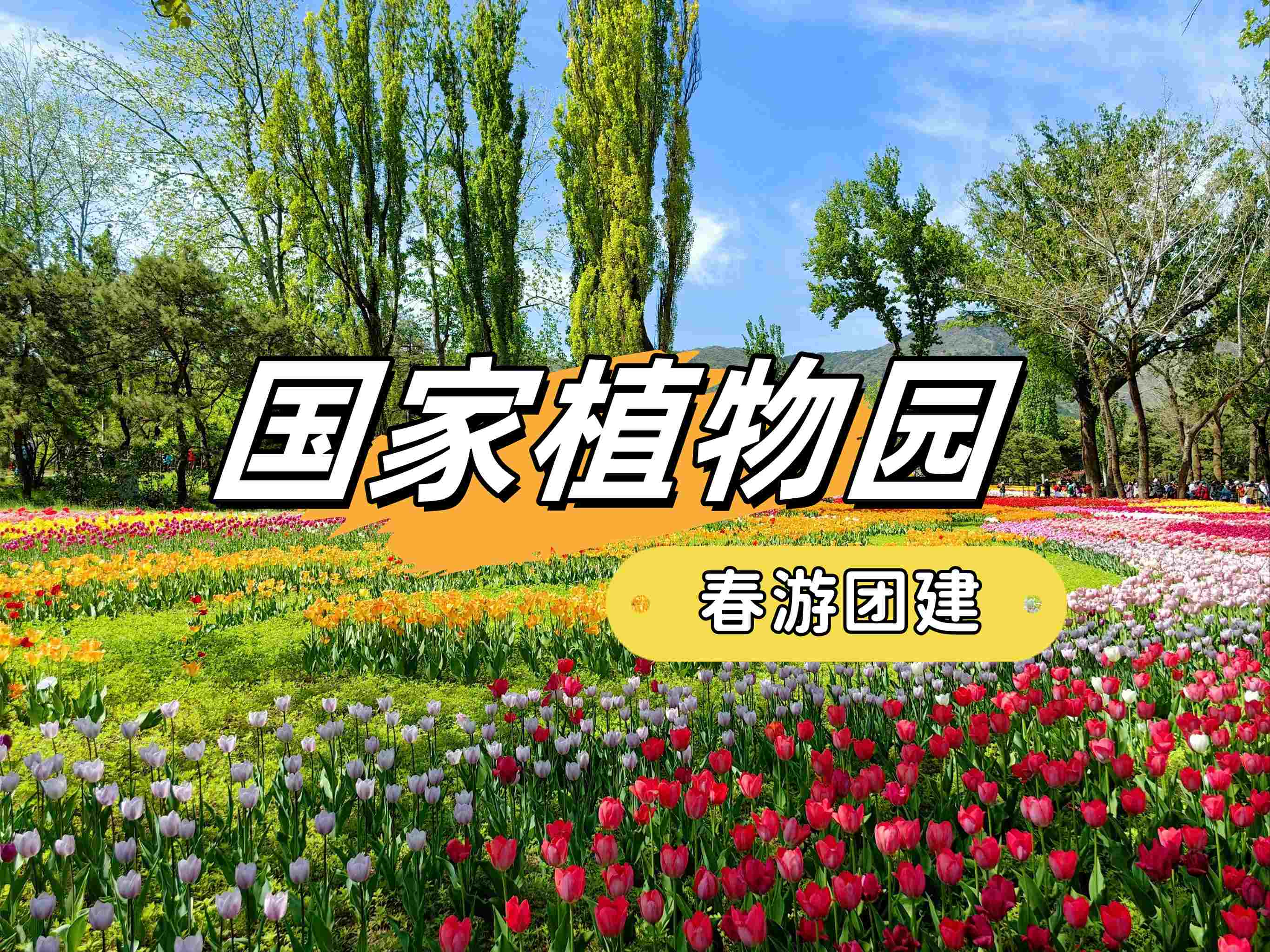 春游团建必选-踏青赏花-北京植物园-手机互联网-最强战队主题团建