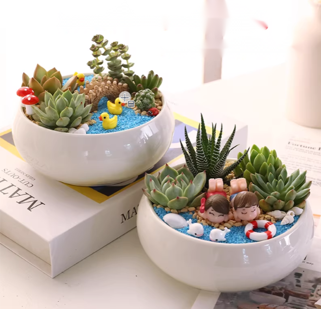 妇女节活动NO.2-瓷盆多肉微景观 - 三八活动三八妇女节活动女神节活动