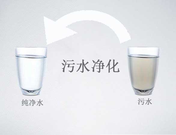 d1ae2d4a382d2479986c6b95b0804dfc.jpg