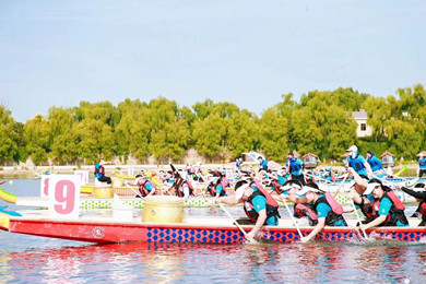 b6cae09454f55a9b64051f146320c490.jpg