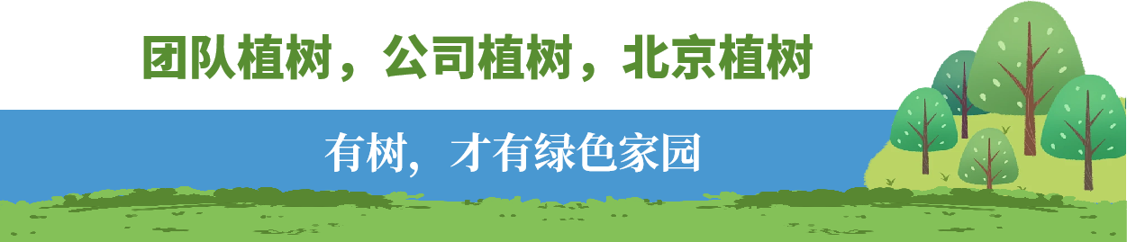 2086575cebc2b0c7094f5bcd9457265c.png