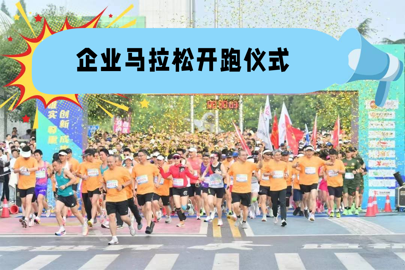 6ee3554e4835841547cdc81c950cdbc0.png
